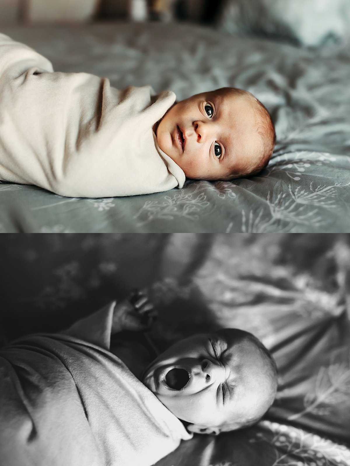  baby wrapped in swaddle laying on bed for in home Fort Collins newborn photography session 
