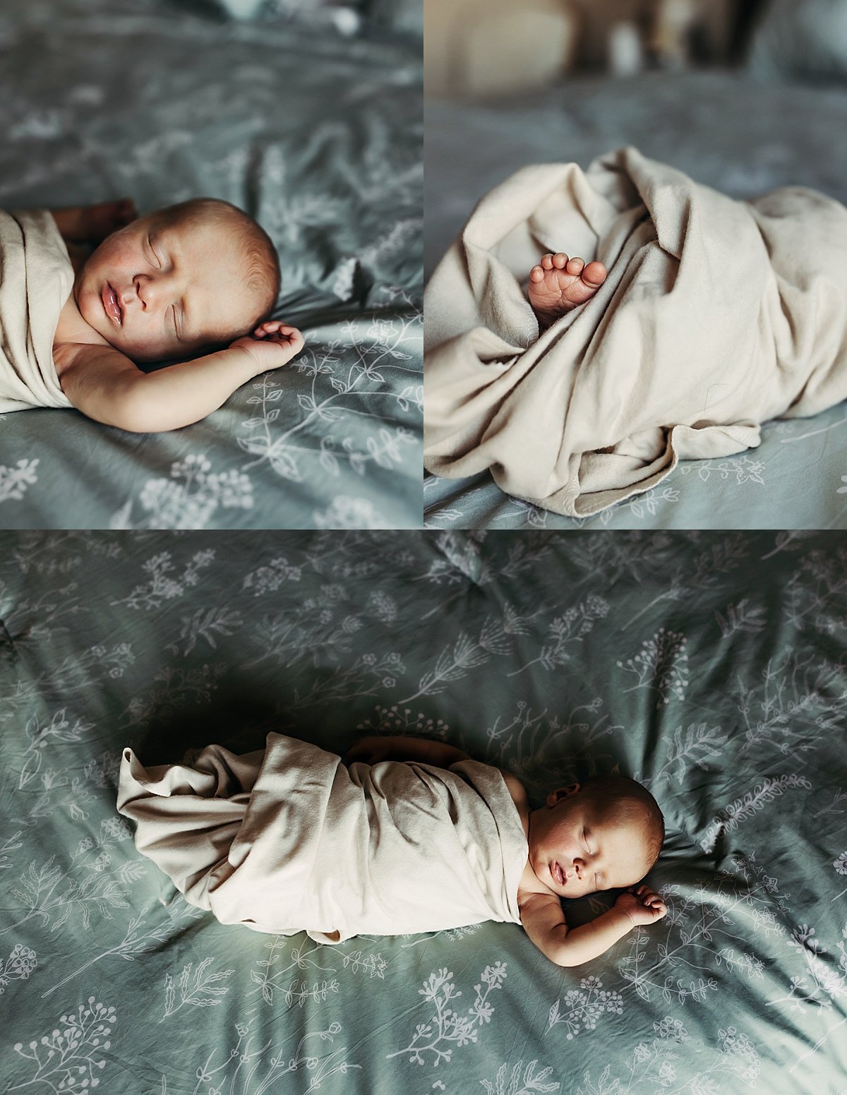  newborn baby laying on bed in light tan swaddle by fort collins newborn photographer 