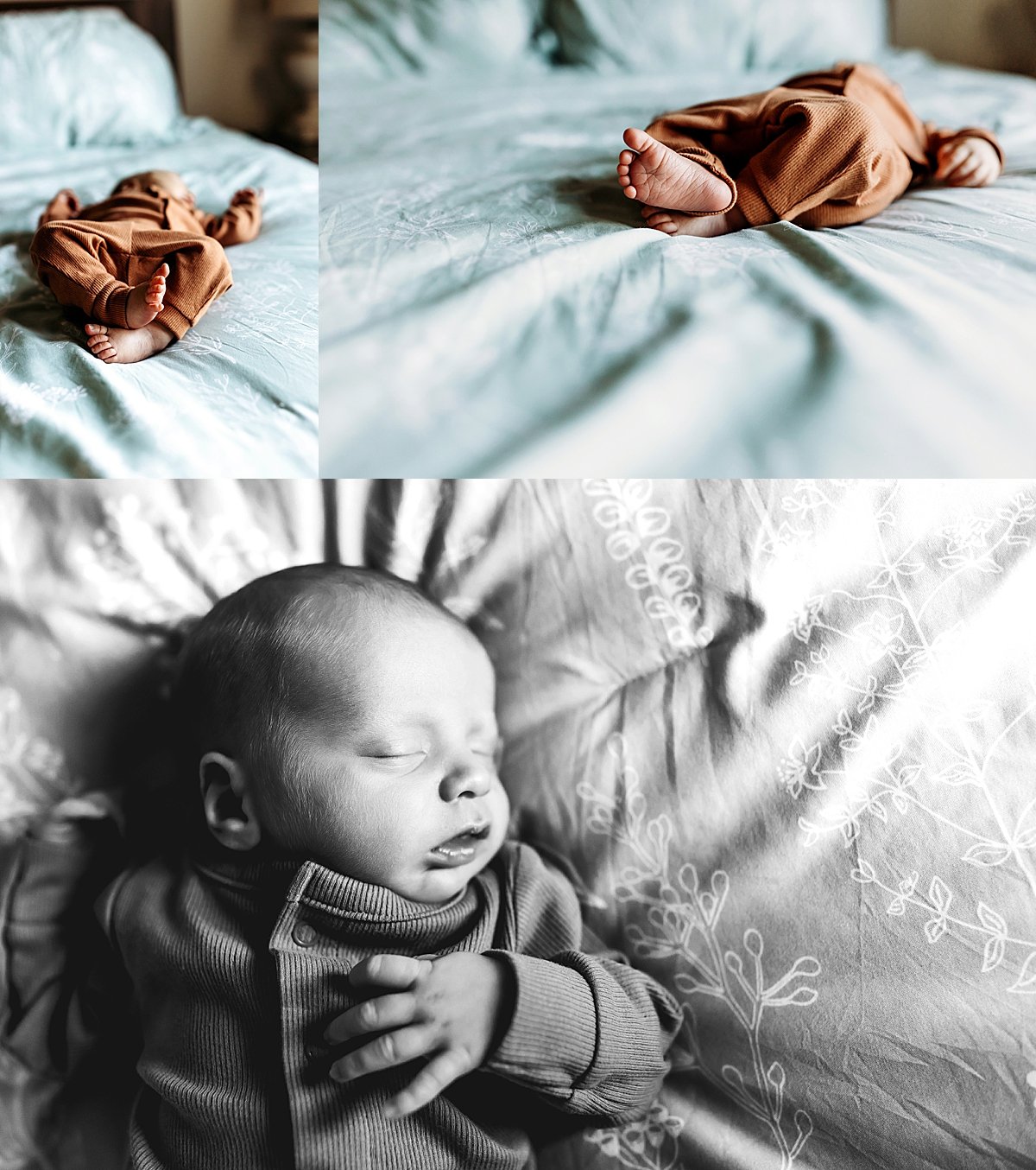  baby wearing dark tan onesie while laying on light blue comforter for in home newborn session 