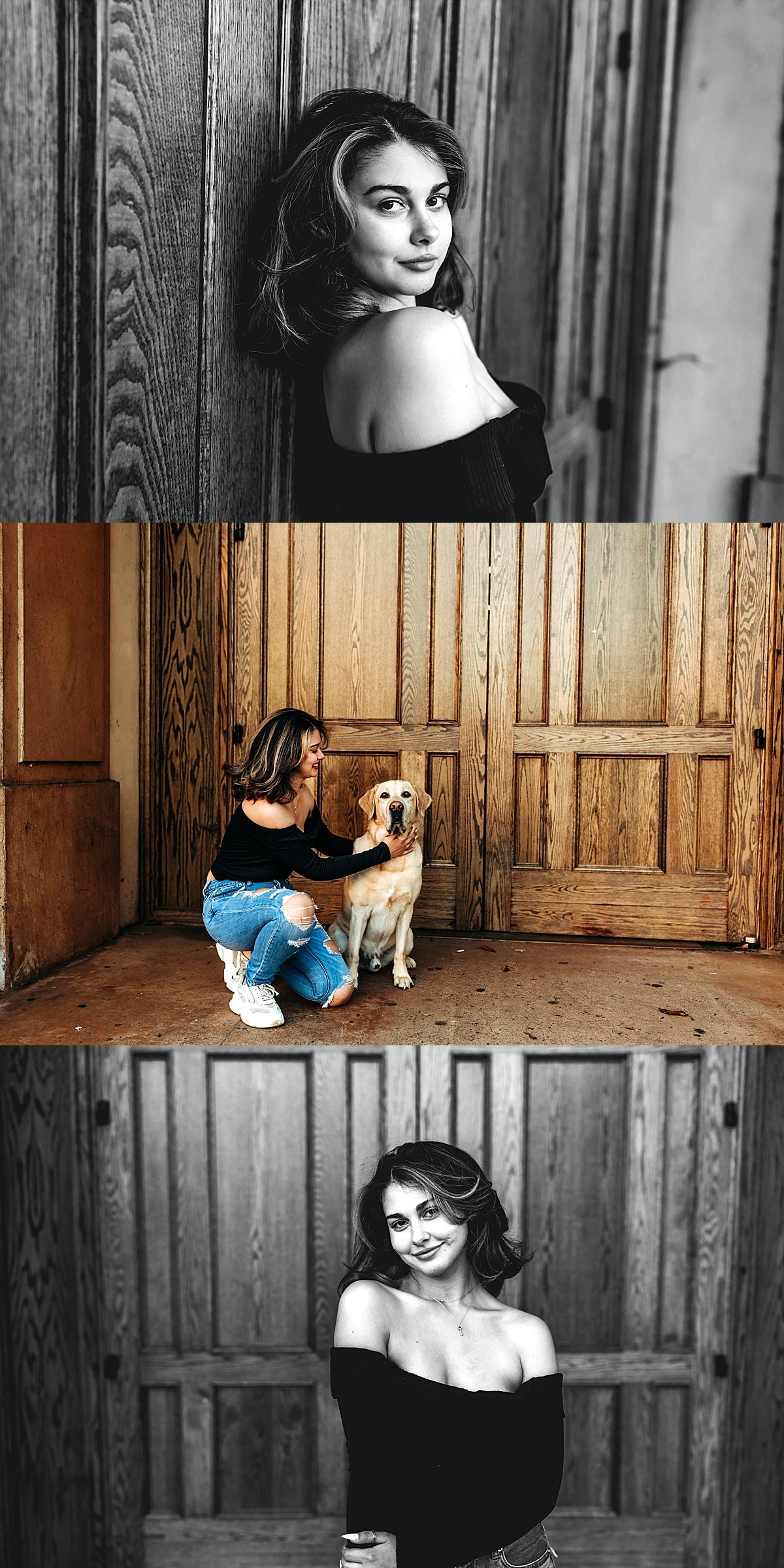  short haired senior and golden retriever dog sitting in front of large church doors by christa paustenbaugh photography 