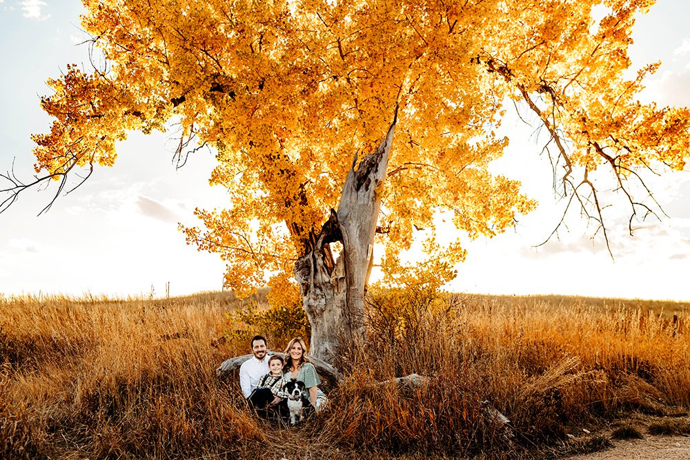 The essence of fall in just one tree during a family photography session in Fort Collins, Colorado. 